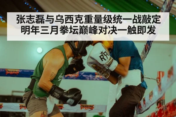 张志磊与乌西克重量级统一战敲定明年三月拳坛巅峰对决一触即发