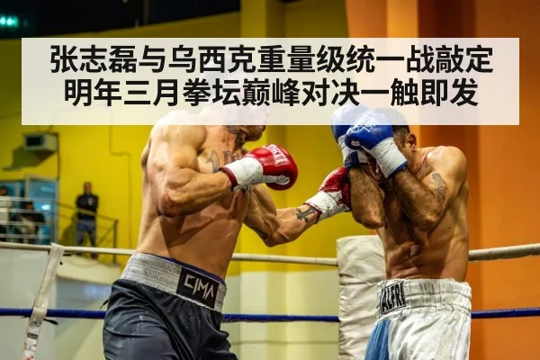 heavyweight boxer training